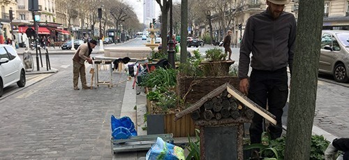 Les jeunes migrants parrainés en pleine activité citoyenne